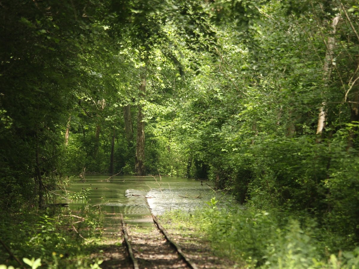 Location Scout: Natural Wonders of the Hungarian Countryside
